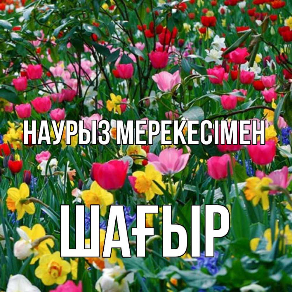 Күн сайын ашық хат с именем, ШАҒЫР Наурыз мерекесімен с наурызом праздником весны поздравления для женщины Онлайн тегін жүктеп алу тілектері бар керемет карта 