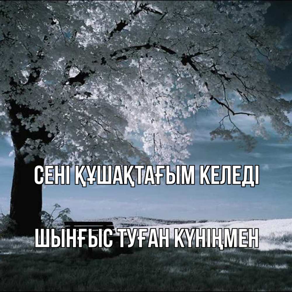 Картинка сені құшақтағым келеді, ШЫНҒЫС! ТУҒАН КҮНІҢМЕН!
