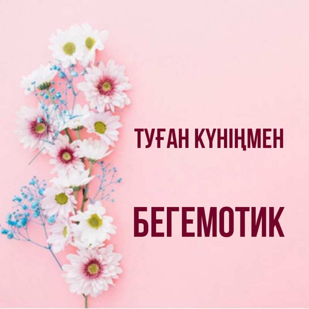 Күн сайын ашық хат с именем, Бегемотик Туған күніңмен Родная моя с днем рождения тебя картинка с цветами белыми и голубыми Онлайн тегін жүктеп алу тілектері бар керемет карта 