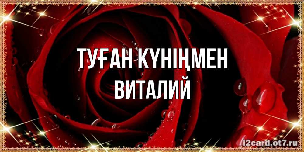 Күн сайын ашық хат с именем, Виталий Туған күніңмен цветок в росе на день рождения Онлайн тегін жүктеп алу тілектері бар керемет карта 