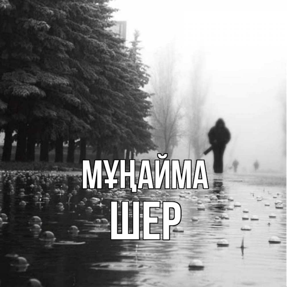 Күн сайын ашық хат с именем, ШЕР Мұңайма улица под дождем Онлайн тегін жүктеп алу тілектері бар керемет карта 