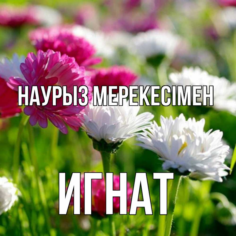 Күн сайын ашық хат с именем, Игнат Наурыз мерекесімен праздник весны наурыз красота Онлайн тегін жүктеп алу тілектері бар керемет карта 
