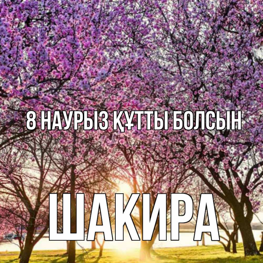 Күн сайын ашық хат с именем, Шакира 8 наурыз құтты болсын международный женский день Онлайн тегін жүктеп алу тілектері бар керемет карта 