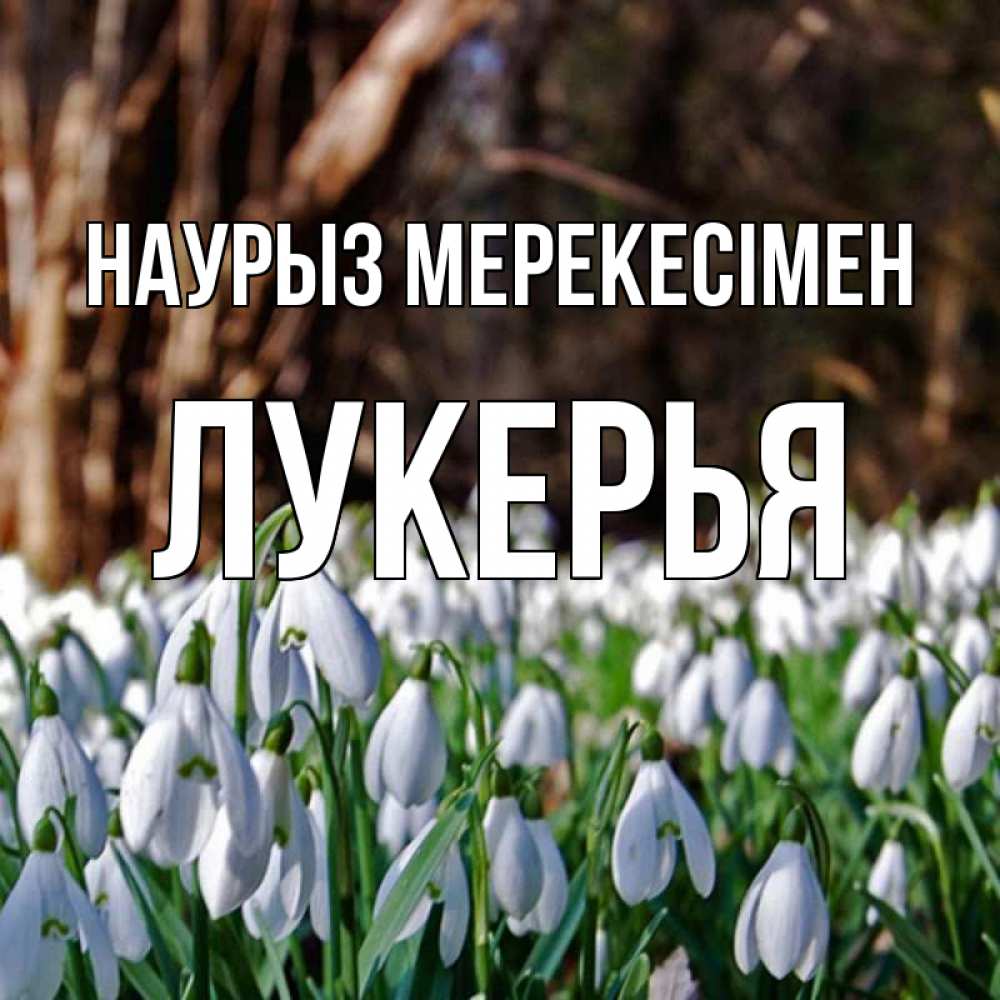 Күн сайын ашық хат с именем, Лукерья Наурыз мерекесімен с подснежниками 1 Онлайн тегін жүктеп алу тілектері бар керемет карта 