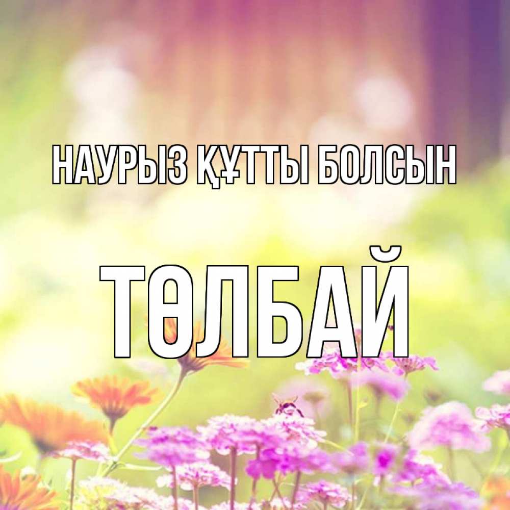 Күн сайын ашық хат с именем, ТӨЛБАЙ Наурыз құтты болсын цветы весна Онлайн тегін жүктеп алу тілектері бар керемет карта 