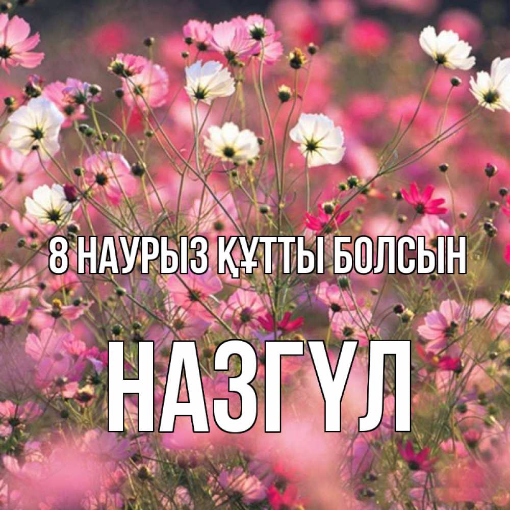 Күн сайын ашық хат с именем, НАЗГҮЛ 8 наурыз құтты болсын красиво 1 Онлайн тегін жүктеп алу тілектері бар керемет карта 