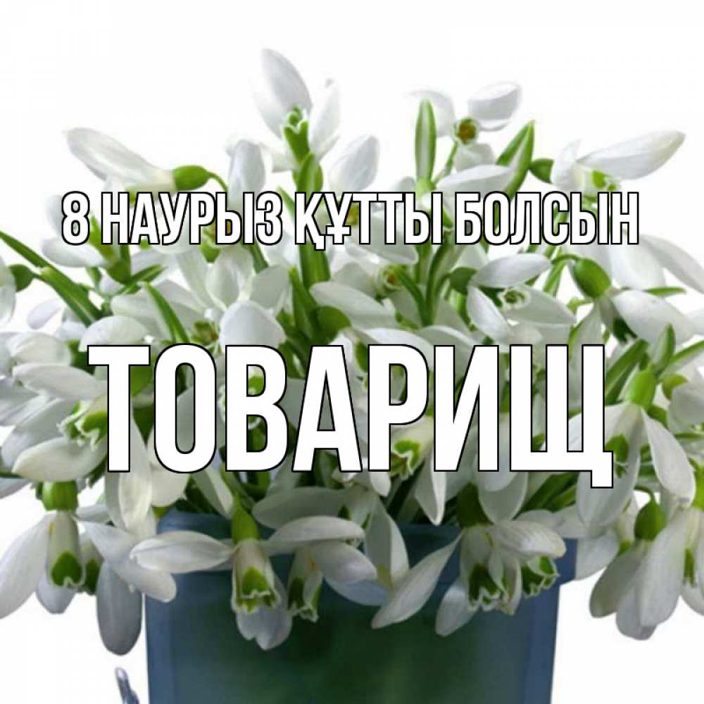 Күн сайын ашық хат с именем, Товарищ 8 наурыз құтты болсын цветы к международному женскому дню Онлайн тегін жүктеп алу тілектері бар керемет карта 