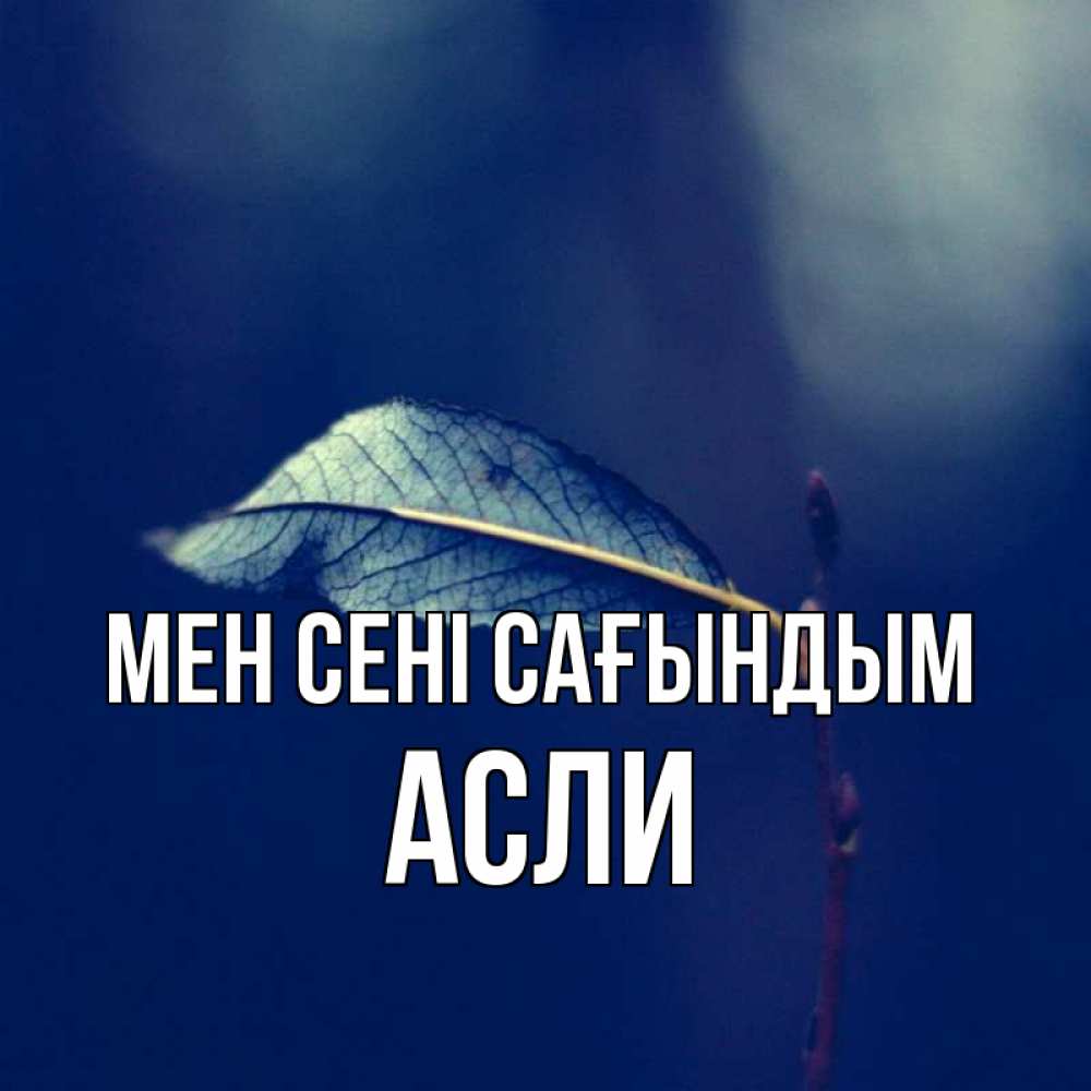 Күн сайын ашық хат с именем, АСЛИ Мен сені сағындым одна ветка 1 Онлайн тегін жүктеп алу тілектері бар керемет карта 