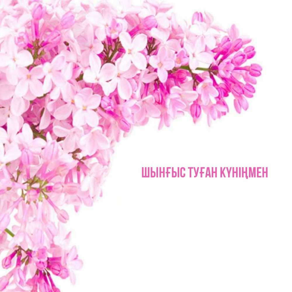 Картинка  с именем , ШЫНҒЫС! ТУҒАН КҮНІҢМЕН!
