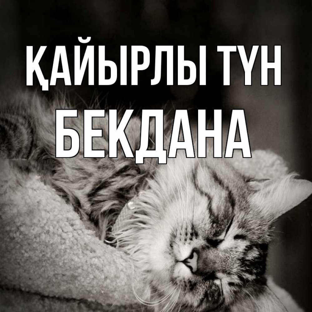 Күн сайын ашық хат с именем, БЕКДАНА Қайырлы түн котярик пушистый Онлайн тегін жүктеп алу тілектері бар керемет карта 