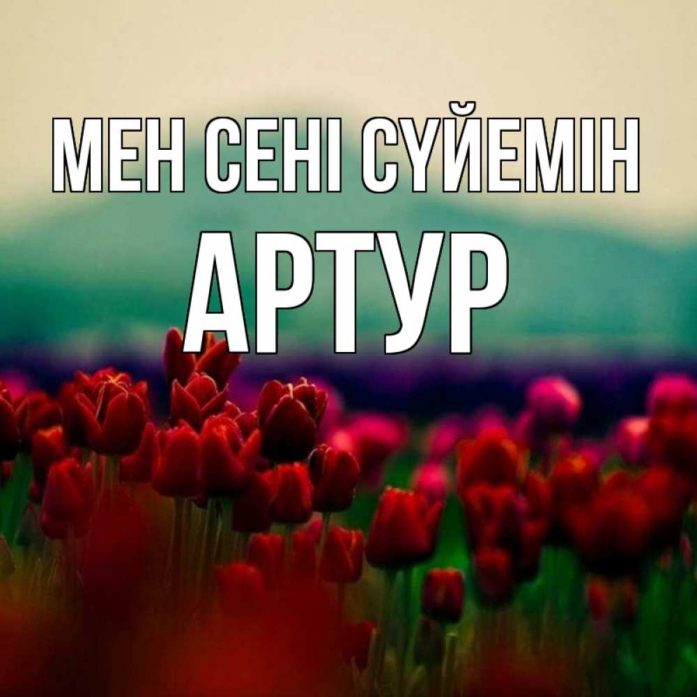 Күн сайын ашық хат с именем, Артур Мен сені сүйемін тюльпаны 4 Онлайн тегін жүктеп алу тілектері бар керемет карта 