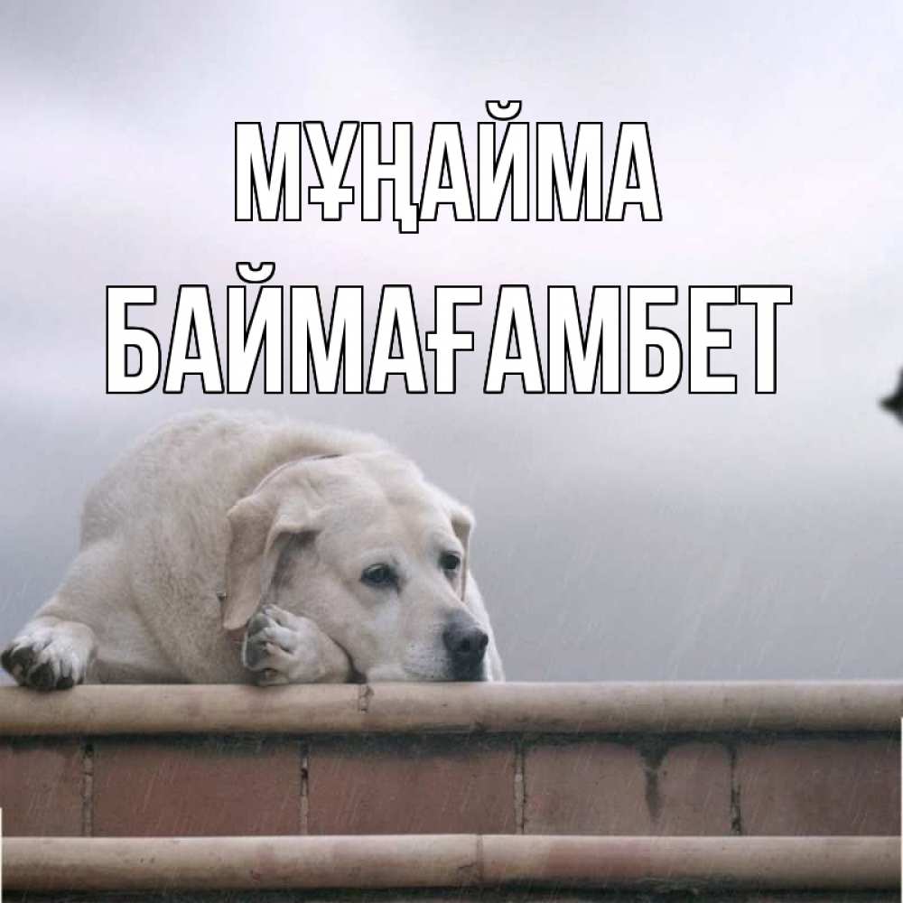 Күн сайын ашық хат с именем, Баймағамбет Мұңайма белый пес 1 Онлайн тегін жүктеп алу тілектері бар керемет карта 