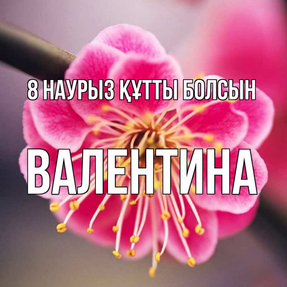 Күн сайын ашық хат с именем, Валентина 8 наурыз құтты болсын цветы Онлайн тегін жүктеп алу тілектері бар керемет карта 