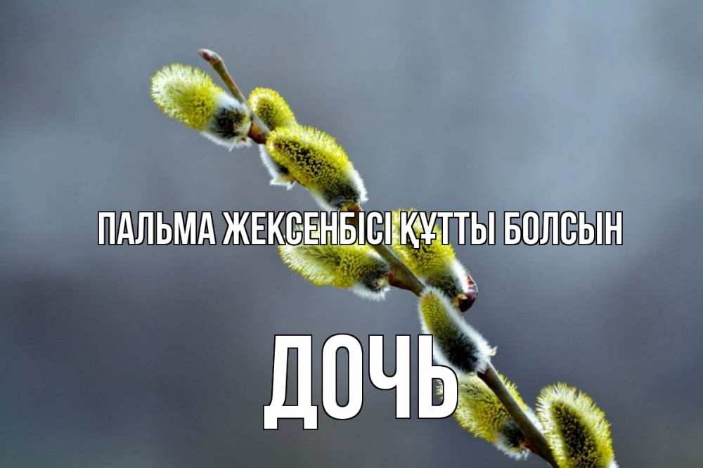 Күн сайын ашық хат с именем, Дочь Пальма жексенбісі құтты болсын верба Онлайн тегін жүктеп алу тілектері бар керемет карта 