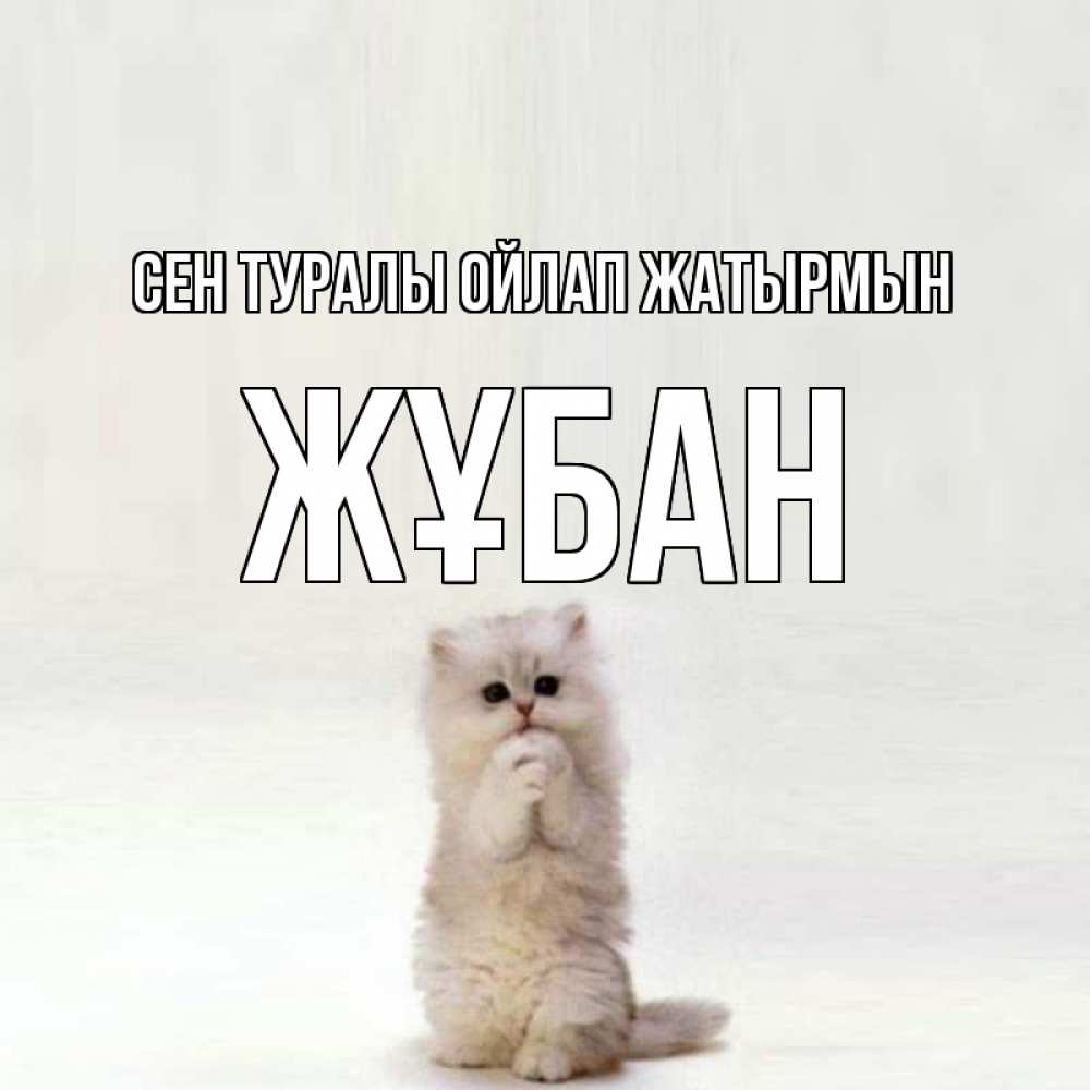 Күн сайын ашық хат с именем, Жұбан Сен туралы ойлап жатырмын кот стоит на задних лапах Онлайн тегін жүктеп алу тілектері бар керемет карта 