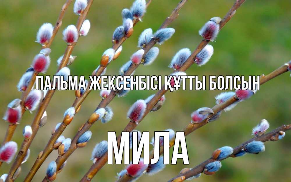 Картинка Пальма жексенбісі құтты болсын, Мила