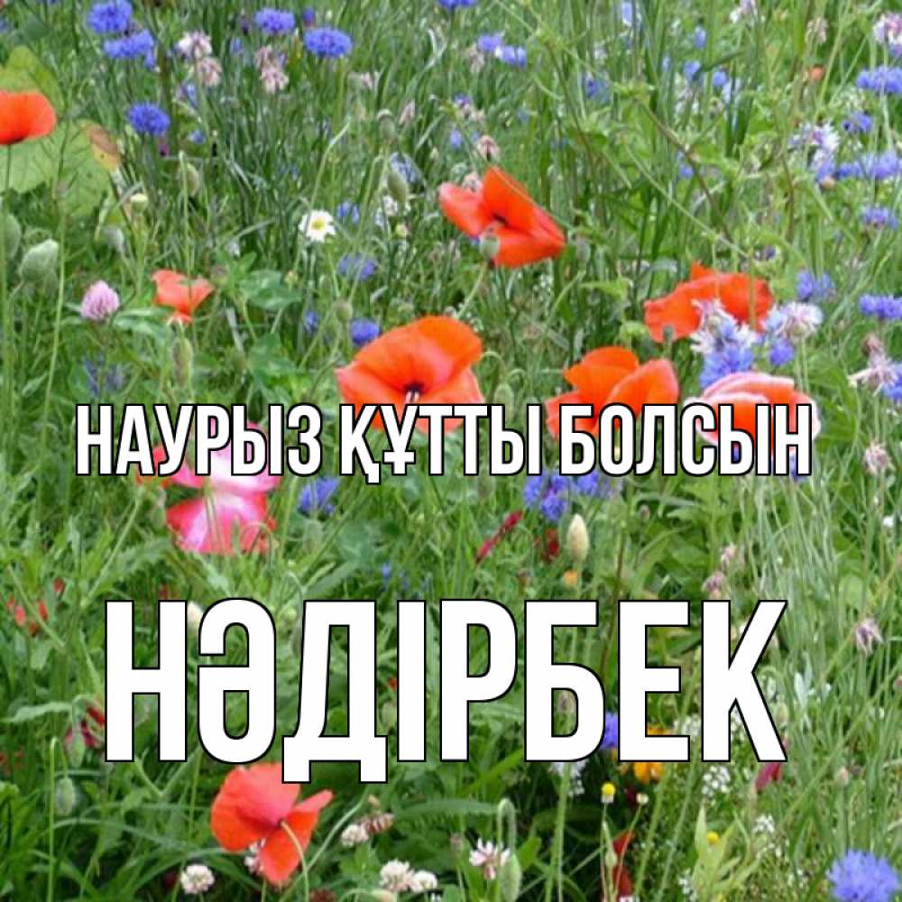 Күн сайын ашық хат с именем, НӘДІРБЕК Наурыз құтты болсын наурыз  4 Онлайн тегін жүктеп алу тілектері бар керемет карта 