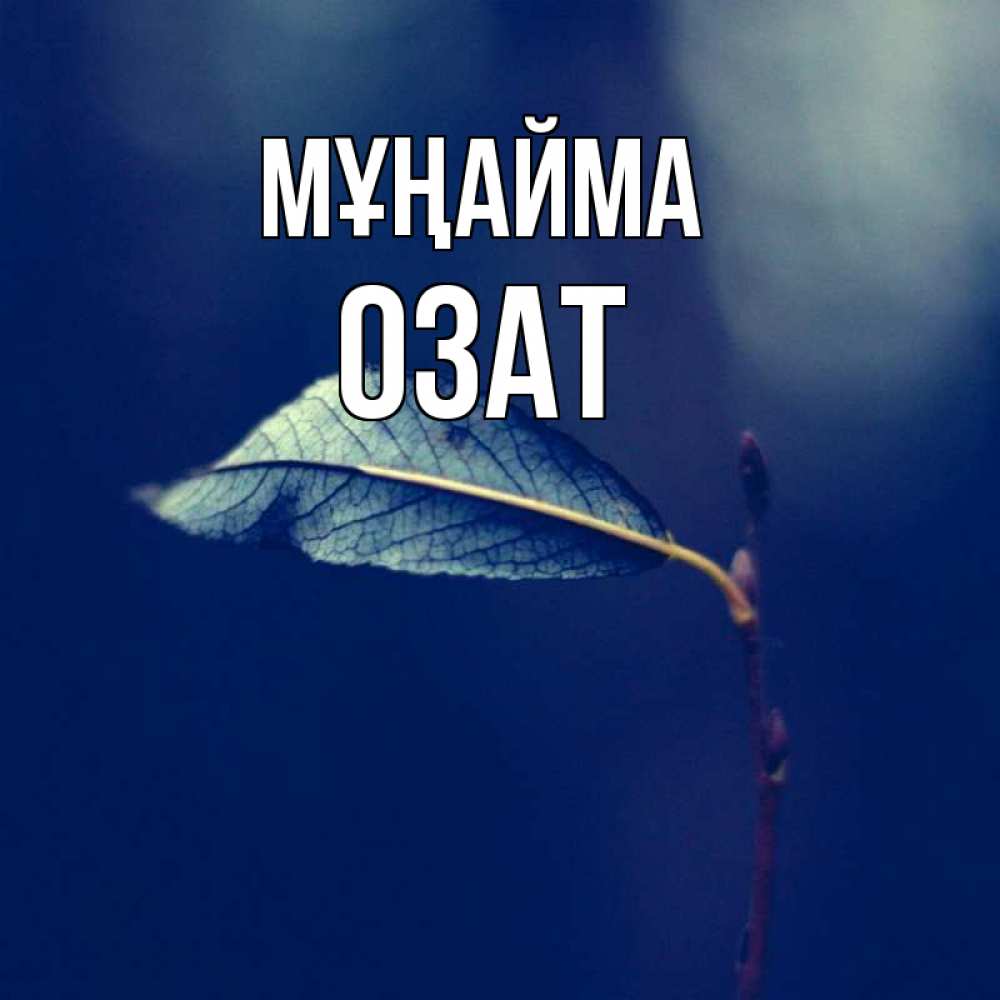 Күн сайын ашық хат с именем, ОЗАТ Мұңайма растение Онлайн тегін жүктеп алу тілектері бар керемет карта 