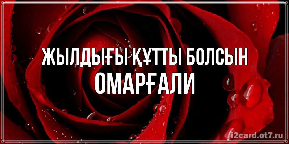 Күн сайын ашық хат с именем, ОМАРҒАЛИ Жылдығы құтты болсын крупная бордовая роза Онлайн тегін жүктеп алу тілектері бар керемет карта 