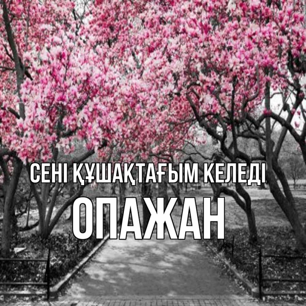 Күн сайын ашық хат с именем, ОПАЖАН сені құшақтағым келеді обработанное фото Онлайн тегін жүктеп алу тілектері бар керемет карта 