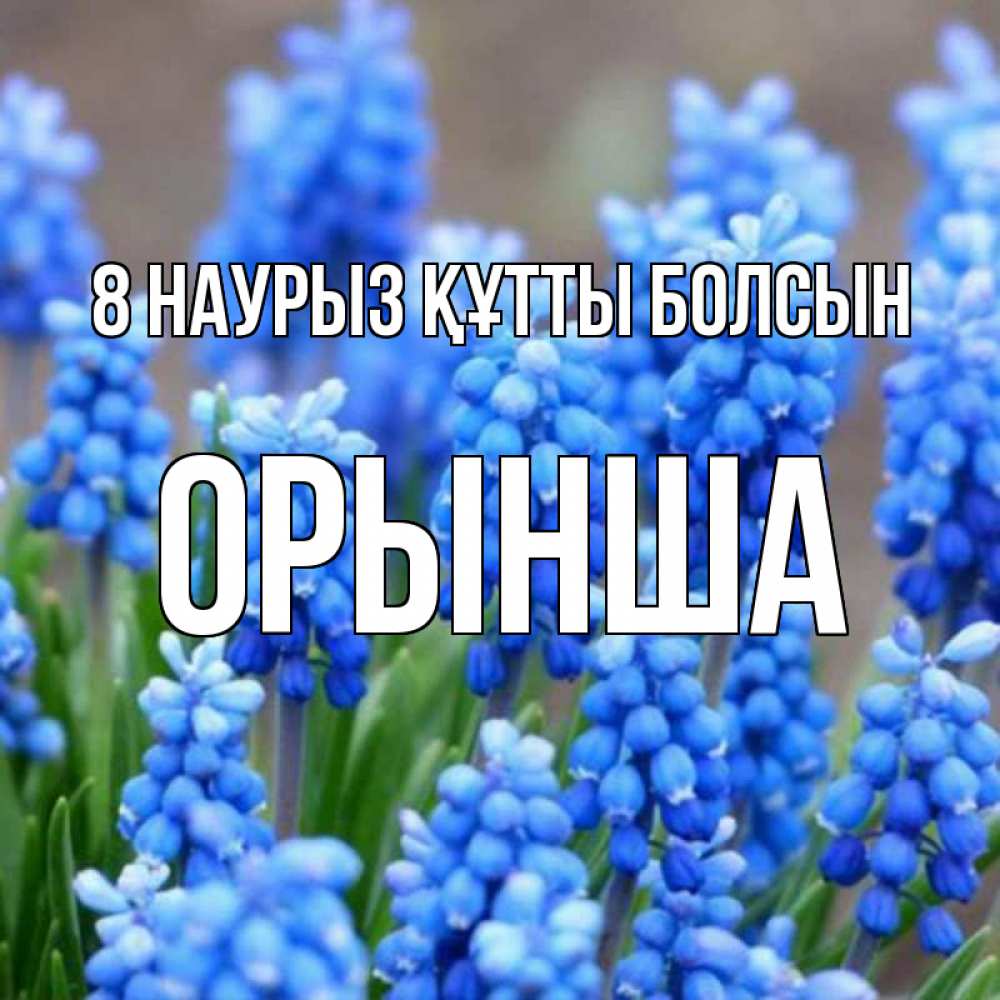 Күн сайын ашық хат с именем, ОРЫНША 8 наурыз құтты болсын Поздравительная открытка для женщин с цветами на праздничную дату Онлайн тегін жүктеп алу тілектері бар керемет карта 