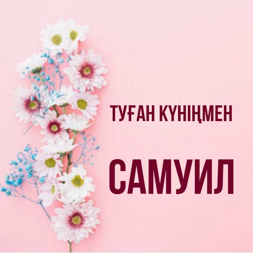 Күн сайын ашық хат с именем, Самуил Туған күніңмен Родная моя с днем рождения тебя картинка с цветами белыми и голубыми Онлайн тегін жүктеп алу тілектері бар керемет карта 