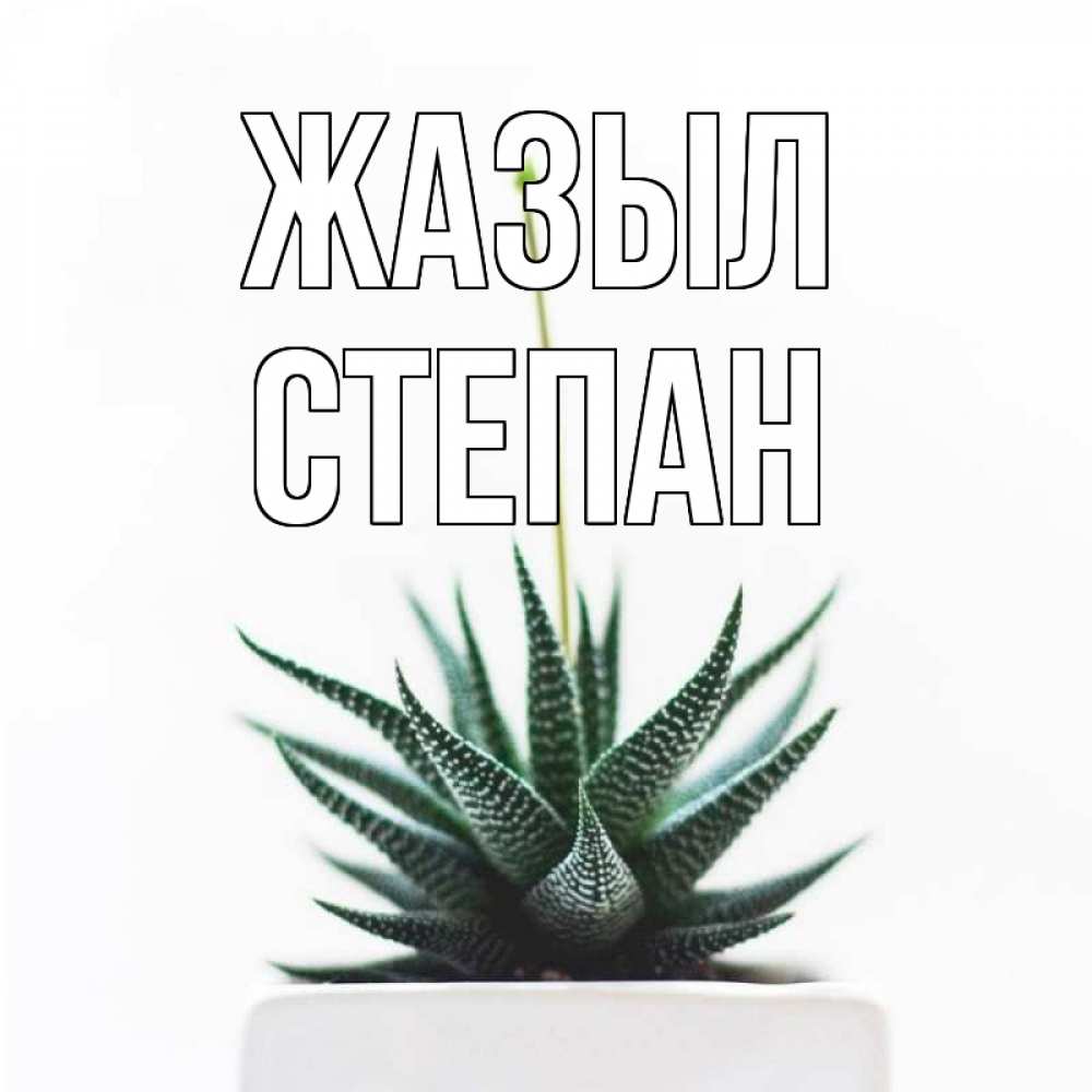 Күн сайын ашық хат с именем, Степан Жазыл короче это непонятная колючка Онлайн тегін жүктеп алу тілектері бар керемет карта 