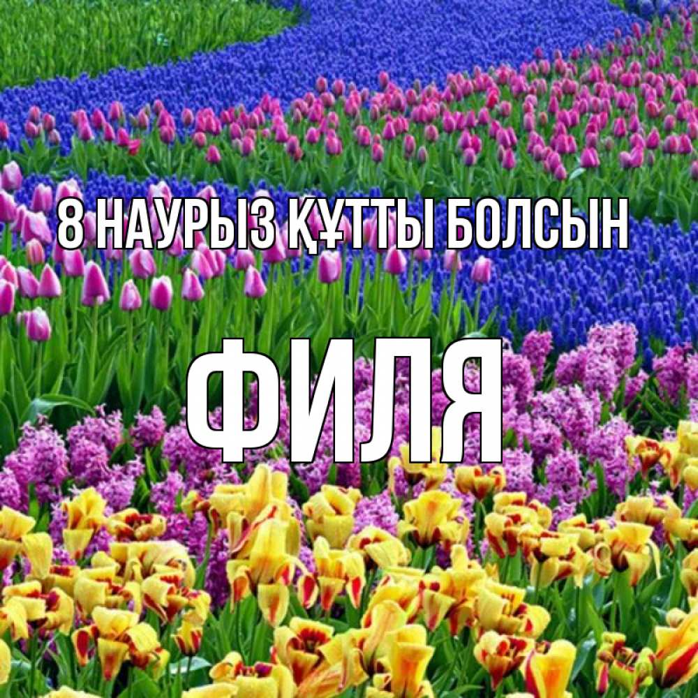 Күн сайын ашық хат с именем, Филя 8 наурыз құтты болсын цветы Онлайн тегін жүктеп алу тілектері бар керемет карта 