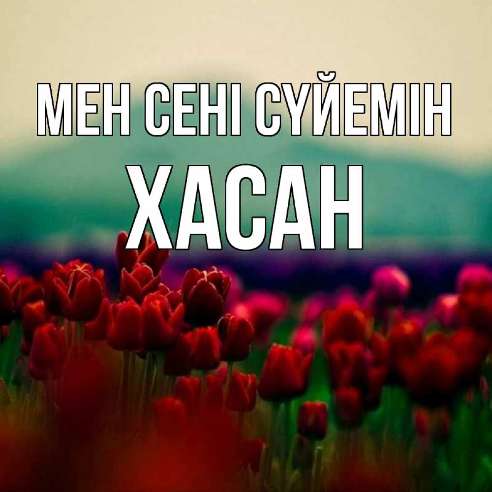 Күн сайын ашық хат с именем, ХАСАН Мен сені сүйемін тюльпаны 4 Онлайн тегін жүктеп алу тілектері бар керемет карта 