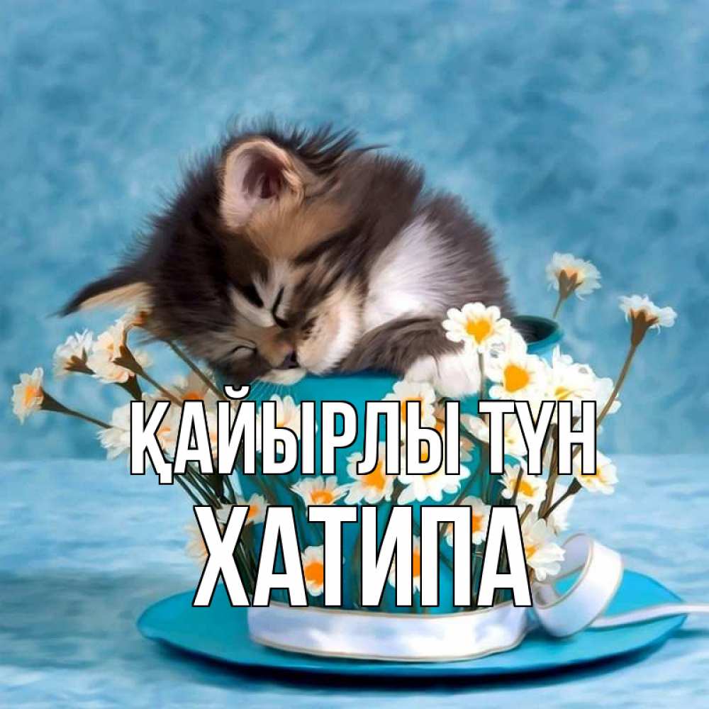 Күн сайын ашық хат с именем, ХАТИПА Қайырлы түн котенок спит в кружке с блюдцем Онлайн тегін жүктеп алу тілектері бар керемет карта 