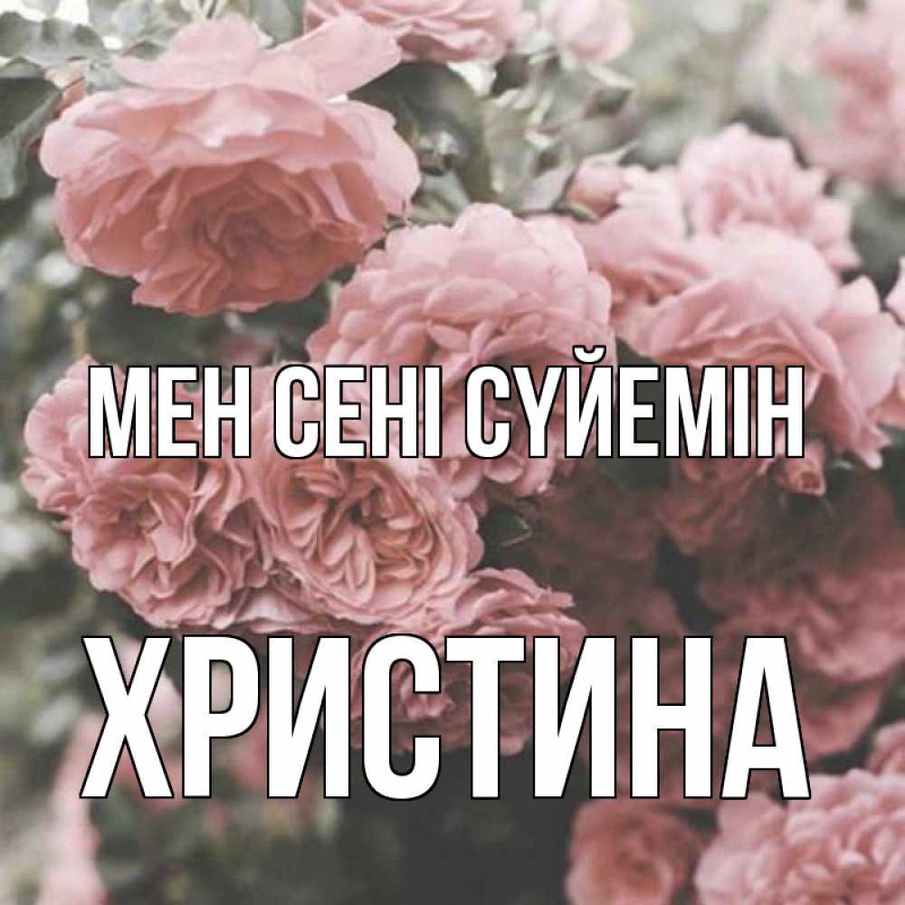Күн сайын ашық хат с именем, Христина Мен сені сүйемін розы 3 Онлайн тегін жүктеп алу тілектері бар керемет карта 