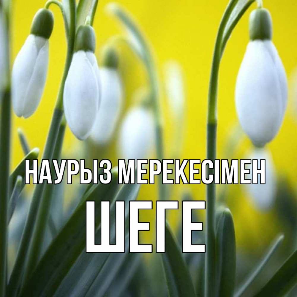 Күн сайын ашық хат с именем, ШЕГЕ Наурыз мерекесімен весенние цветы Онлайн тегін жүктеп алу тілектері бар керемет карта 