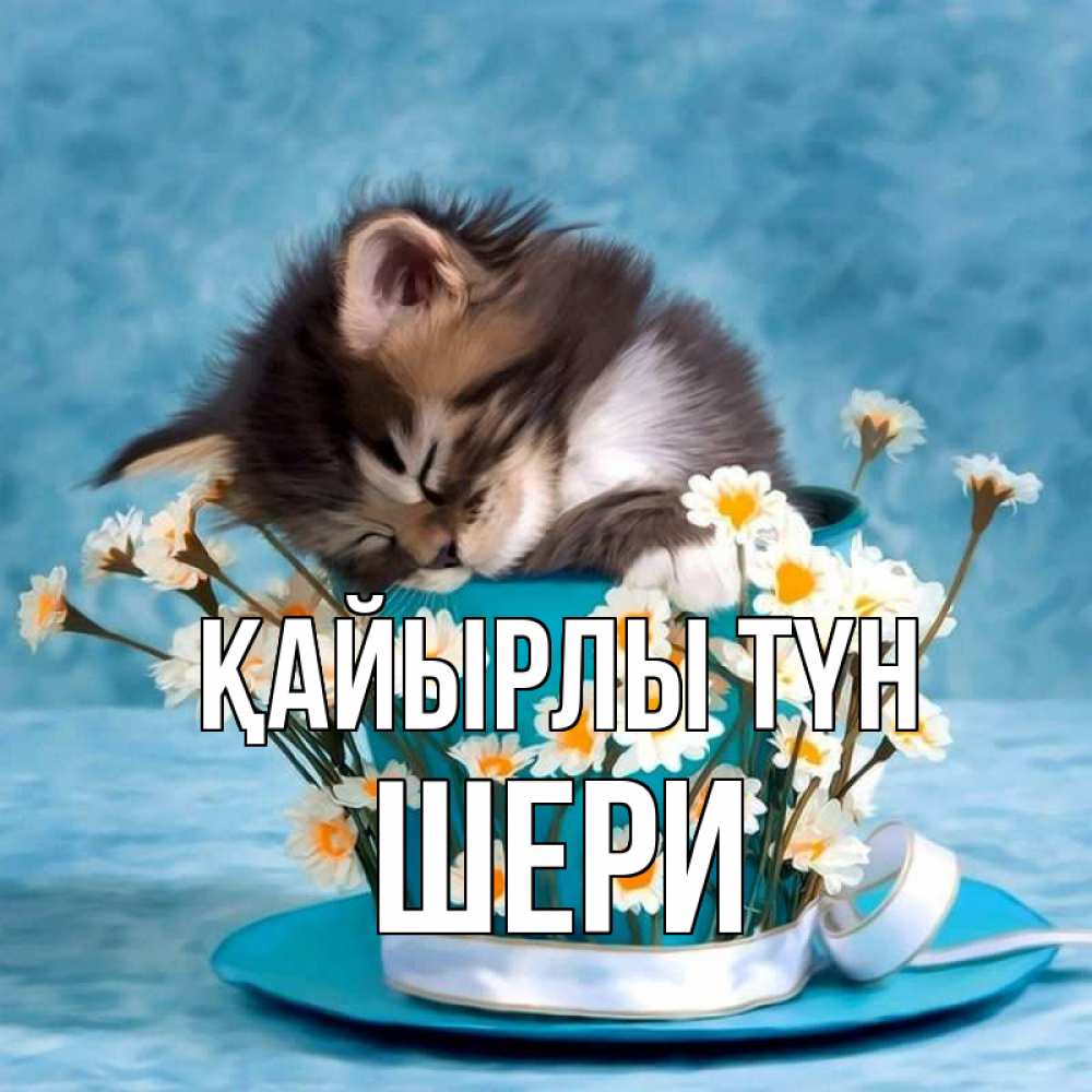 Күн сайын ашық хат с именем, ШЕРИ Қайырлы түн котенок спит в кружке с блюдцем Онлайн тегін жүктеп алу тілектері бар керемет карта 