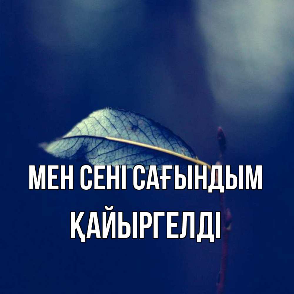 Күн сайын ашық хат с именем, Қайыргелді Мен сені сағындым одна ветка 1 Онлайн тегін жүктеп алу тілектері бар керемет карта 