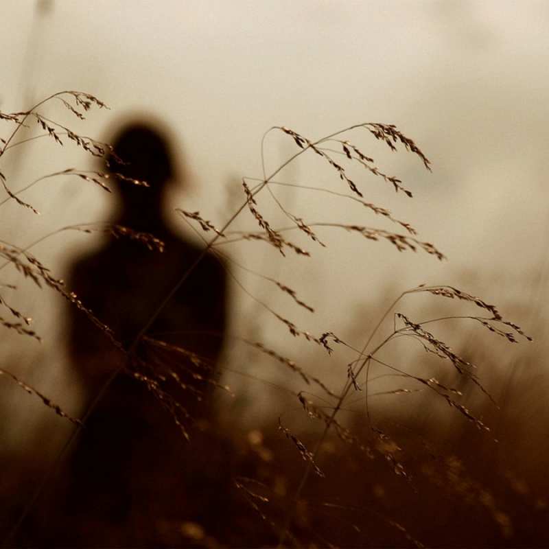 Открытка колосятся растения   силуэт девушки  Мен сені сағындым 