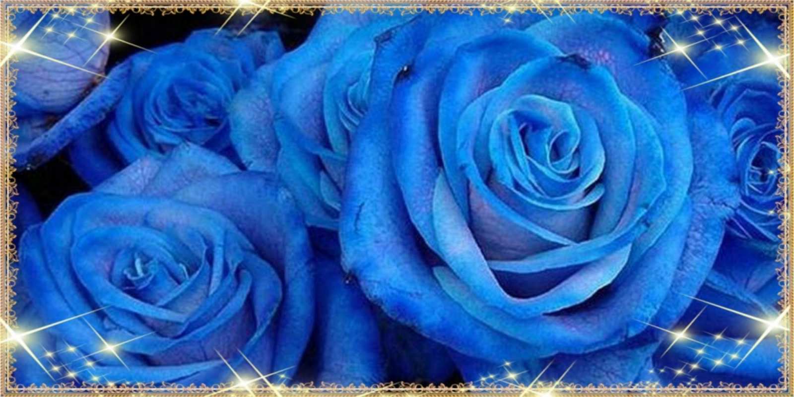 Открытка красивые синие розы на международный женский день для дорогой как поздравить женщину на 8 марта. Конечно же нужно подарить ей открытку с нашего сайта 8 наурыз құтты болсын 