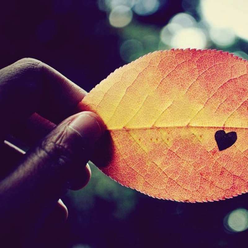 Открытка листик с сердцем  держу лист  Мен сені сүйемін 