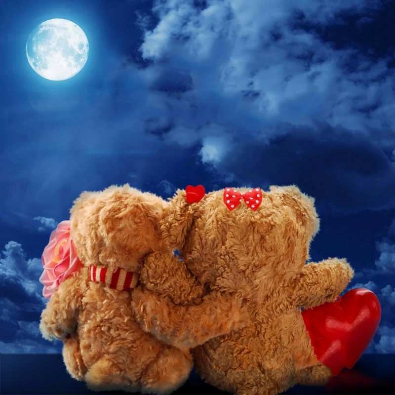 Открытка медведи смотрят на луну  плюшевые  Қайырлы түн 