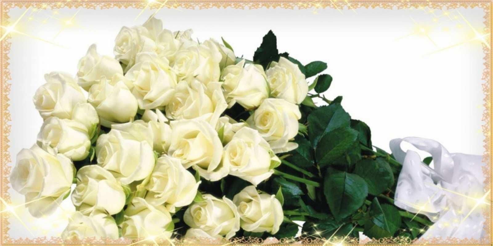 Открытка много кремовых роз на открытке букет с розами желтокремового цвета для любимой на международный женский день 8 наурыз құтты болсын 
