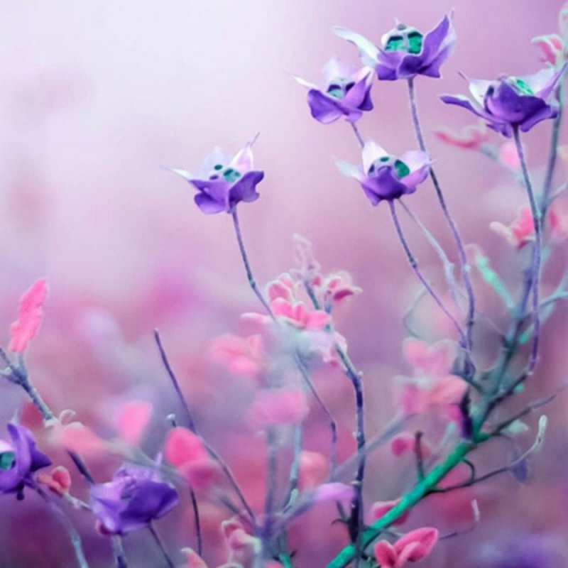 Открытка полевые цветы 2 международный женский день 2 8 наурыз құтты болсын 