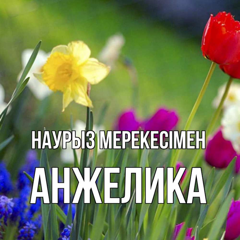 Күн сайын ашық хат с именем, Анжелика Наурыз мерекесімен праздник весны наурыз 3 Онлайн тегін жүктеп алу тілектері бар керемет карта 
