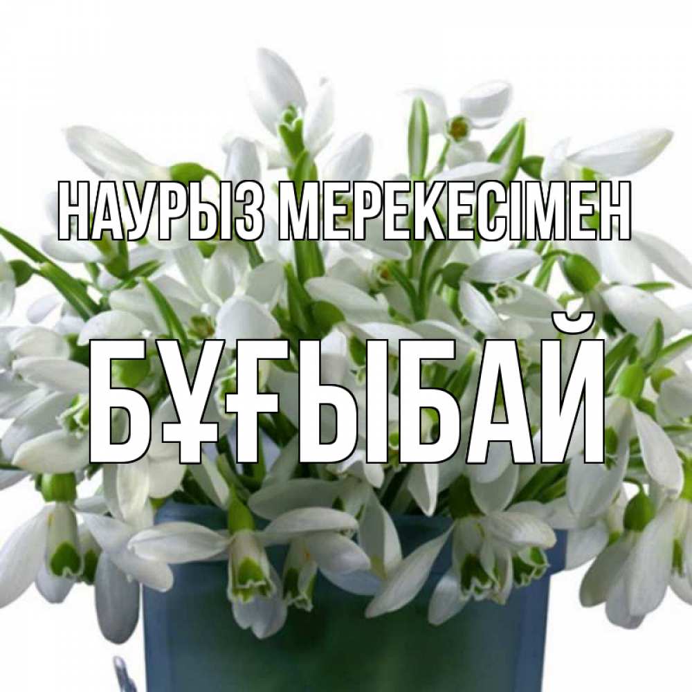 Күн сайын ашық хат с именем, Бұғыбай Наурыз мерекесімен цветы к наурызу новый год в Казахстане Онлайн тегін жүктеп алу тілектері бар керемет карта 