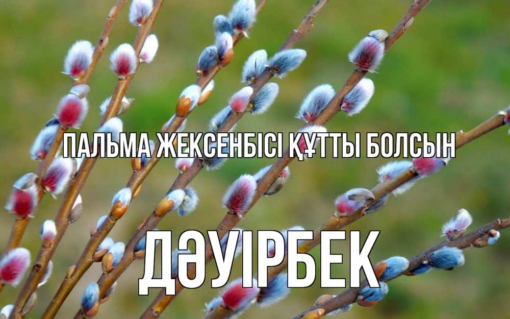 Күн сайын ашық хат с именем, Дәуірбек Пальма жексенбісі құтты болсын верба Онлайн тегін жүктеп алу тілектері бар керемет карта 