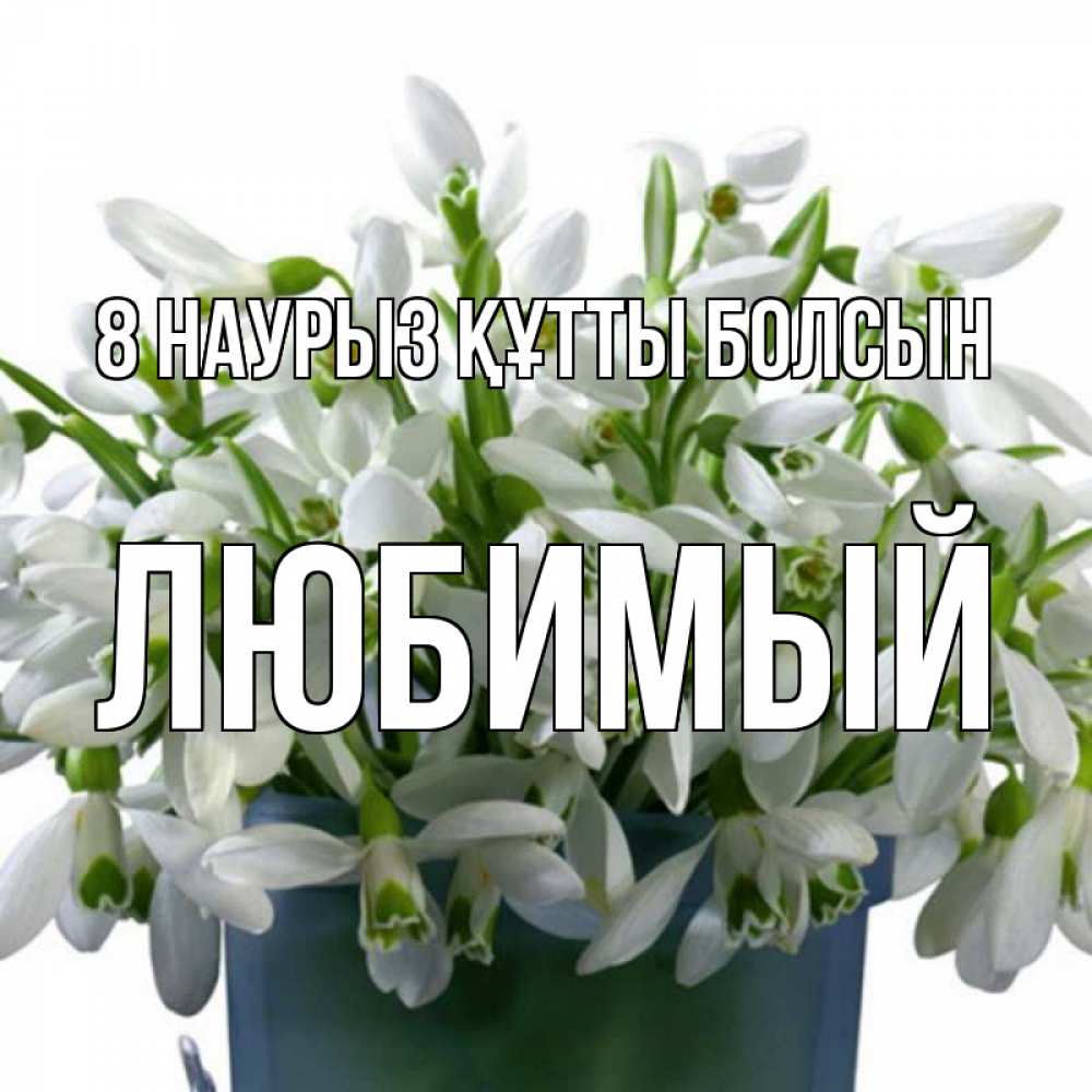 Күн сайын ашық хат с именем, Любимый 8 наурыз құтты болсын цветы к международному женскому дню Онлайн тегін жүктеп алу тілектері бар керемет карта 
