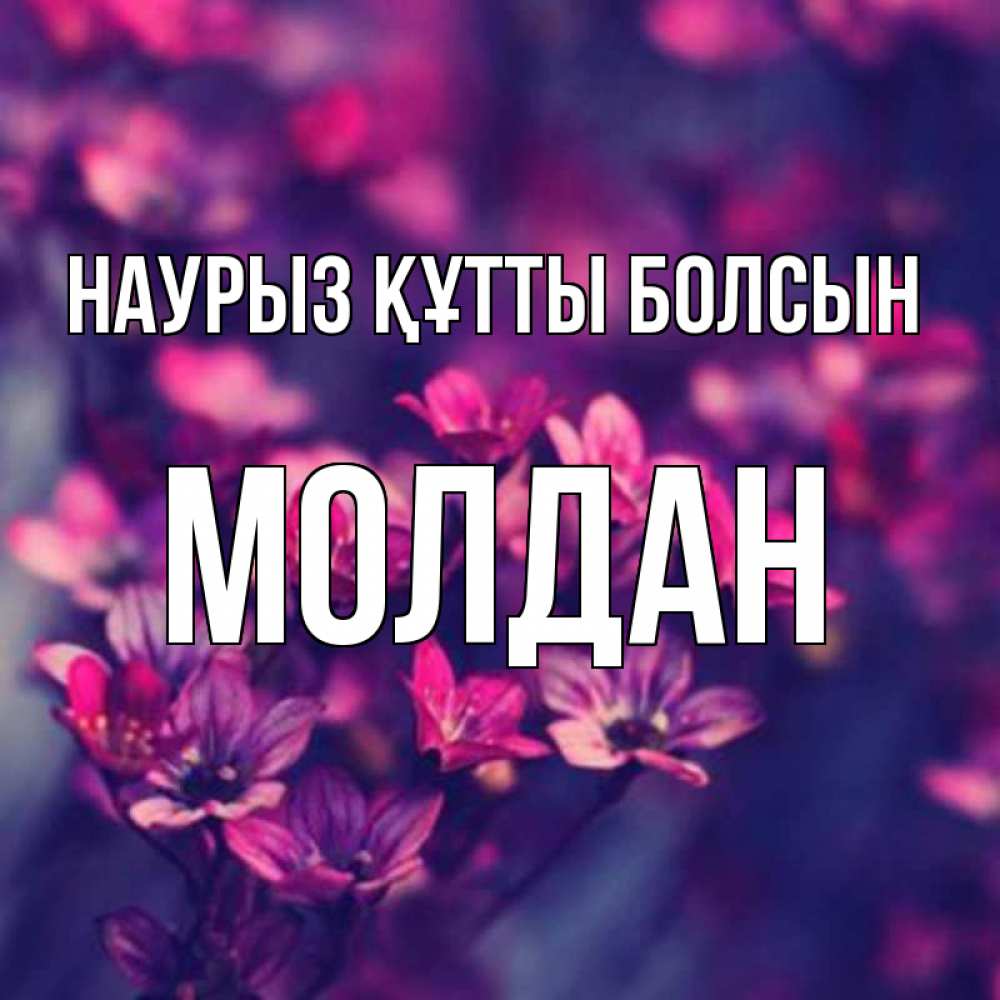 Күн сайын ашық хат с именем, МОЛДАН Наурыз құтты болсын небольшие цветы 1 Онлайн тегін жүктеп алу тілектері бар керемет карта 
