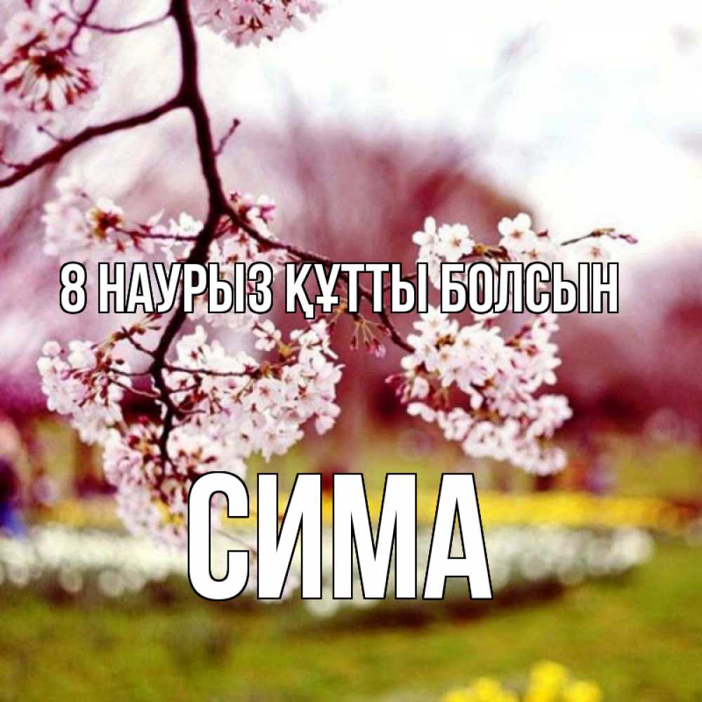 Күн сайын ашық хат с именем, Сима 8 наурыз құтты болсын яблоня Онлайн тегін жүктеп алу тілектері бар керемет карта 