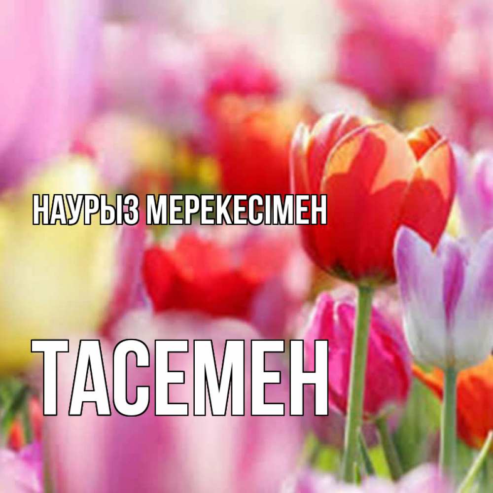Күн сайын ашық хат с именем, ТАСЕМЕН Наурыз мерекесімен праздник весны наурыз 67 Онлайн тегін жүктеп алу тілектері бар керемет карта 
