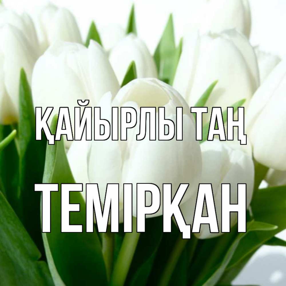 Күн сайын ашық хат с именем, ТЕМІРҚАН Қайырлы таң открытки на каждый день по именам Онлайн тегін жүктеп алу тілектері бар керемет карта 