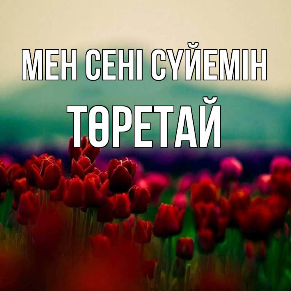 Күн сайын ашық хат с именем, Төретай Мен сені сүйемін тюльпаны 4 Онлайн тегін жүктеп алу тілектері бар керемет карта 