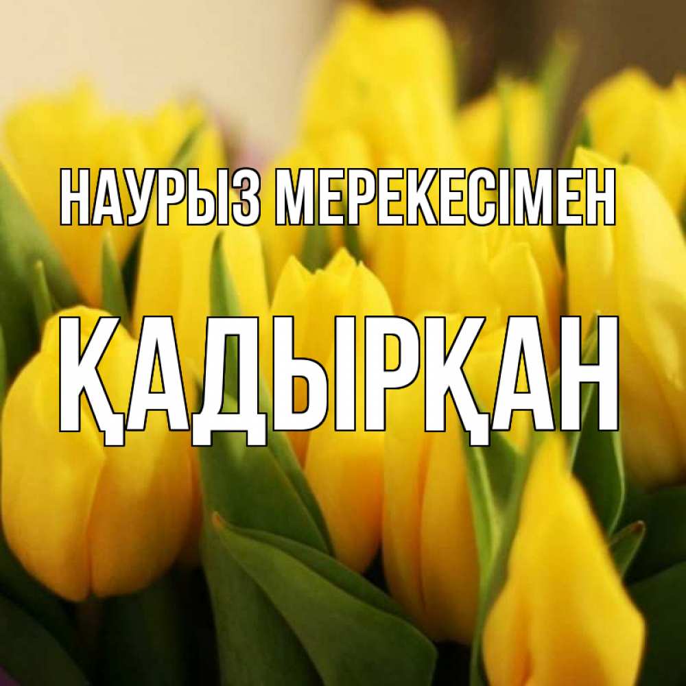 Күн сайын ашық хат с именем, Қадырқан Наурыз мерекесімен цветы Онлайн тегін жүктеп алу тілектері бар керемет карта 